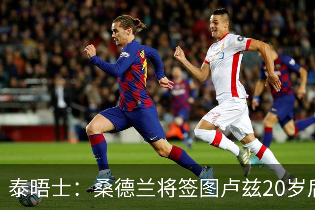泰晤士：桑德兰将签图卢兹20岁后卫梅塔利 转会费最高达3000万镑