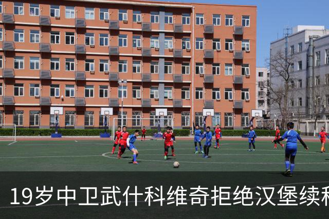 19岁中卫武什科维奇拒绝汉堡续租，热刺续约或转会欧洲豪门